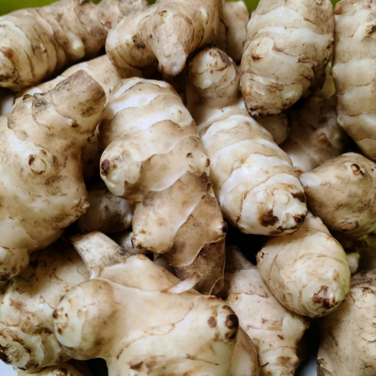 岐阜県産 きくいも(菊芋) 10kg 土付き 堀り立て発送！無農薬 - メルカリ