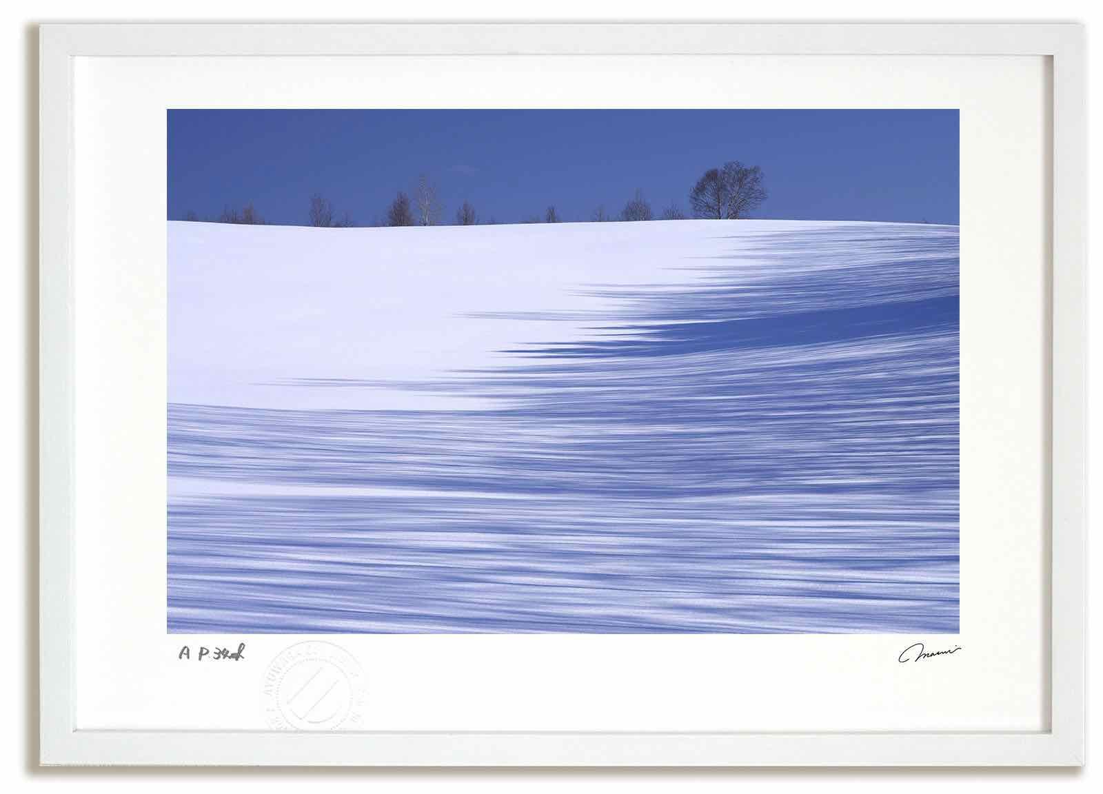 アートフォト 絵画 蒼い影9 高橋真澄|インテリア 額入り 額装込 風景画 油絵 ポスター アート アートパネル リビング 玄関 プレゼント モダン アートフレーム 飾る Mサイズ おしゃれ 壁掛け 絵