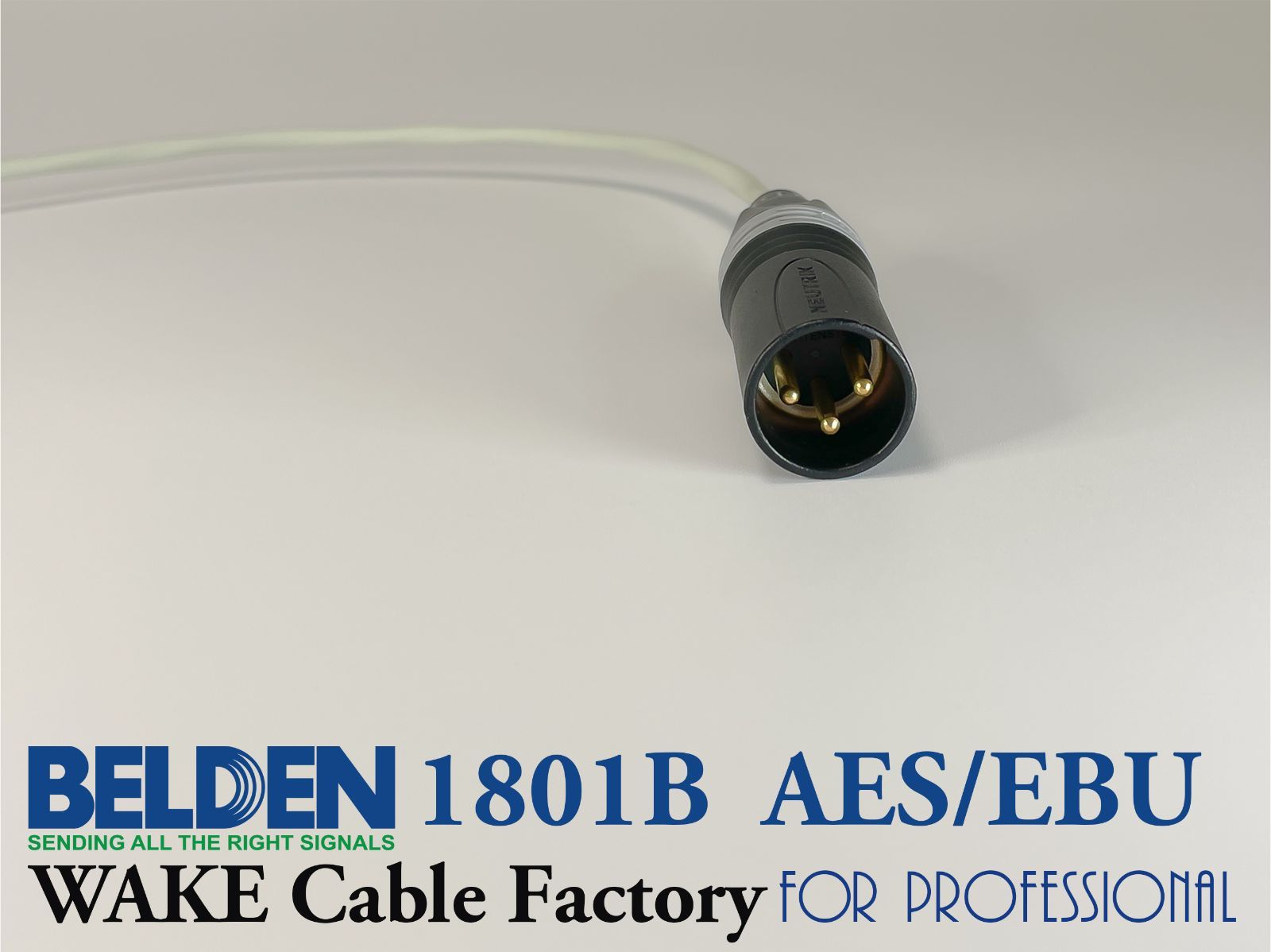 BELDEN1801B☆高性能デジタルケーブル2m☆AES/EBU(110Ω)/NEUTRIK