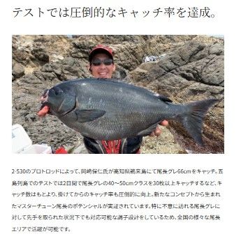 マスターチューン 尾長