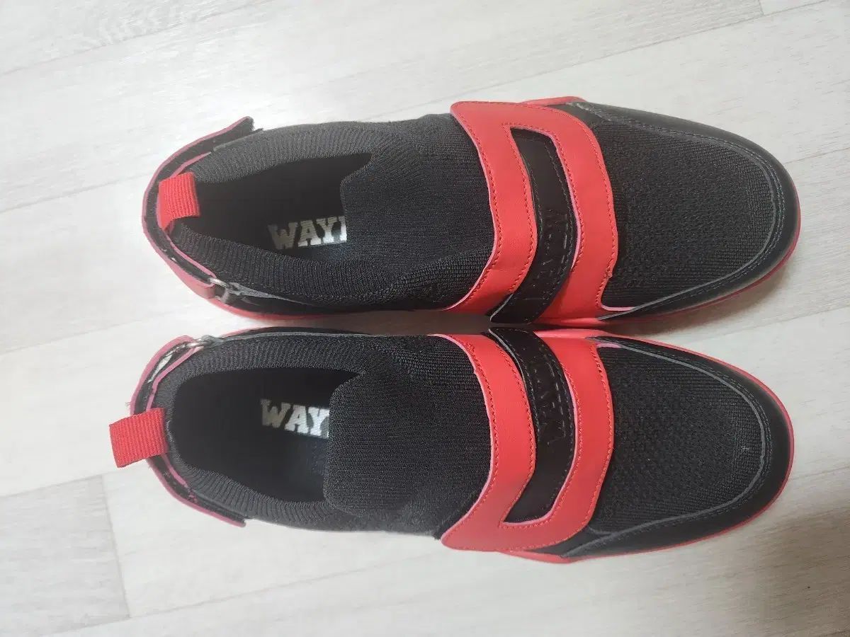 魚住英里奈 デモCD 「眞鍋かをり」 バニラ収録 魚住英里奈 デモCD 2024 「眞鍋かをり」 バニラ収録