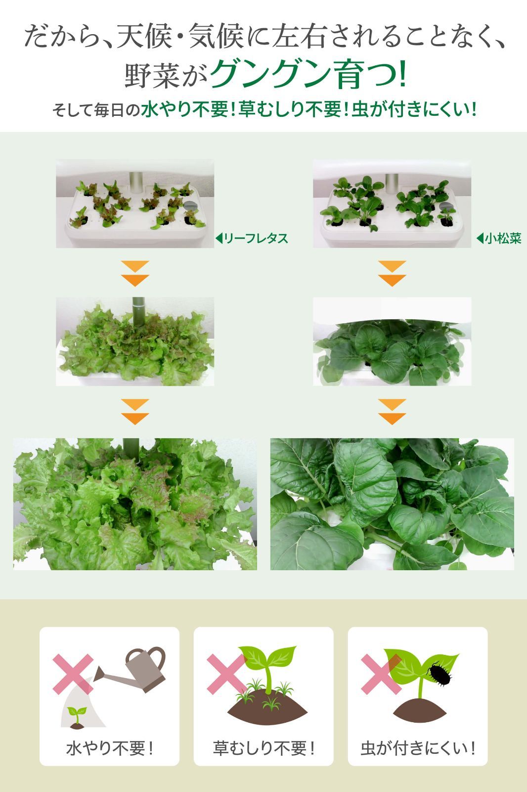 プライムダイレクト公式ショップ
