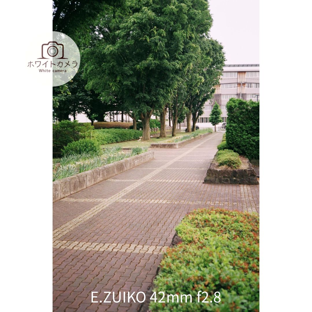 OLYMPUS 35 EC2 作例あり 完動品 撮影例あり OLYMPUS-35 EC2 フィルムカメラ