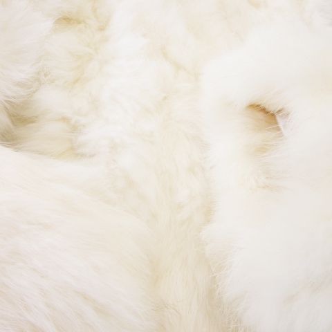 ジェイ ホワイト J-white ラビットファー ジャケット 毛皮 F 白  