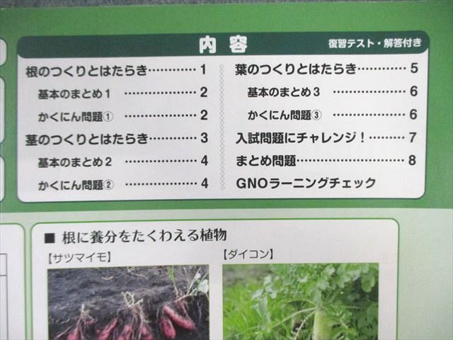 グノーブル 小5 GNOラーニング/春期/夏期/冬期 理科 通年セット