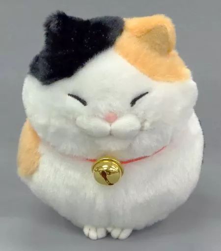 みーさま専用 41D+xwFrlXL.jpg_BO30,255,255,