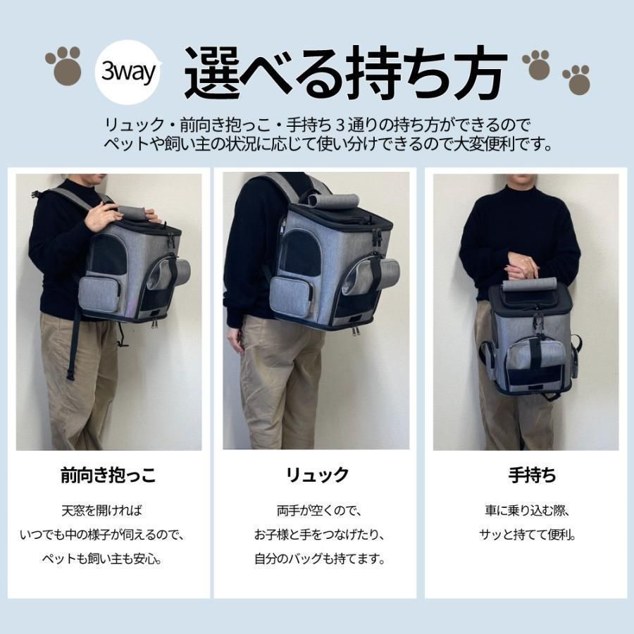フードボウル 付き