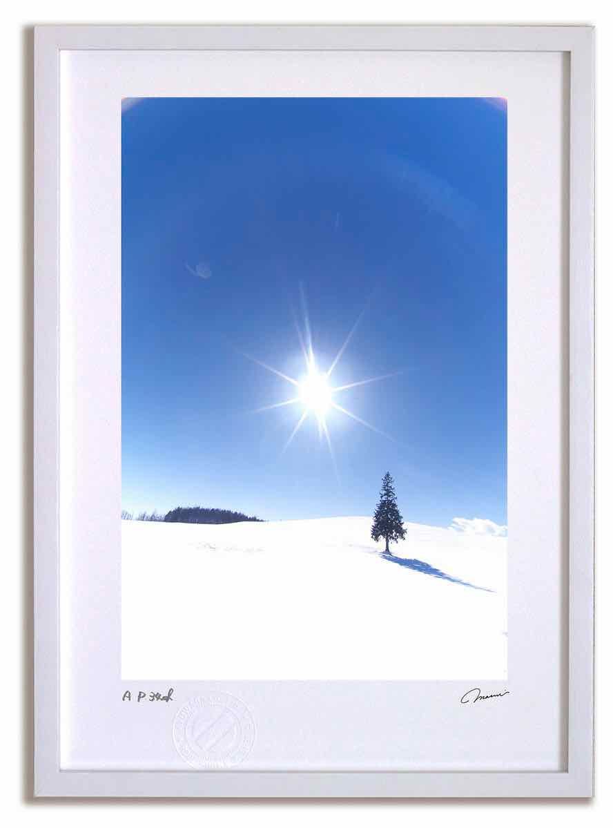 アートフォト 絵画 ツリーの木と太陽2 高橋真澄|インテリア 額入り 額装込 風景画 油絵 ポスター アート アートパネル リビング 玄関 プレゼント モダン アートフレーム 飾る Mサイズ おしゃれ 壁掛け 絵