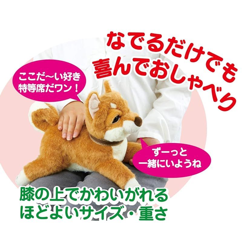 イワヤ IWAYA