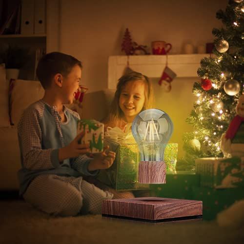 電球ランプを浮遊させる