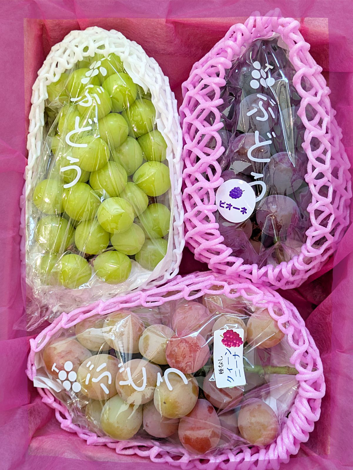 マブ イミンホ タキシードミノミ・ミノミ・キーリングミノミ服 Amazon