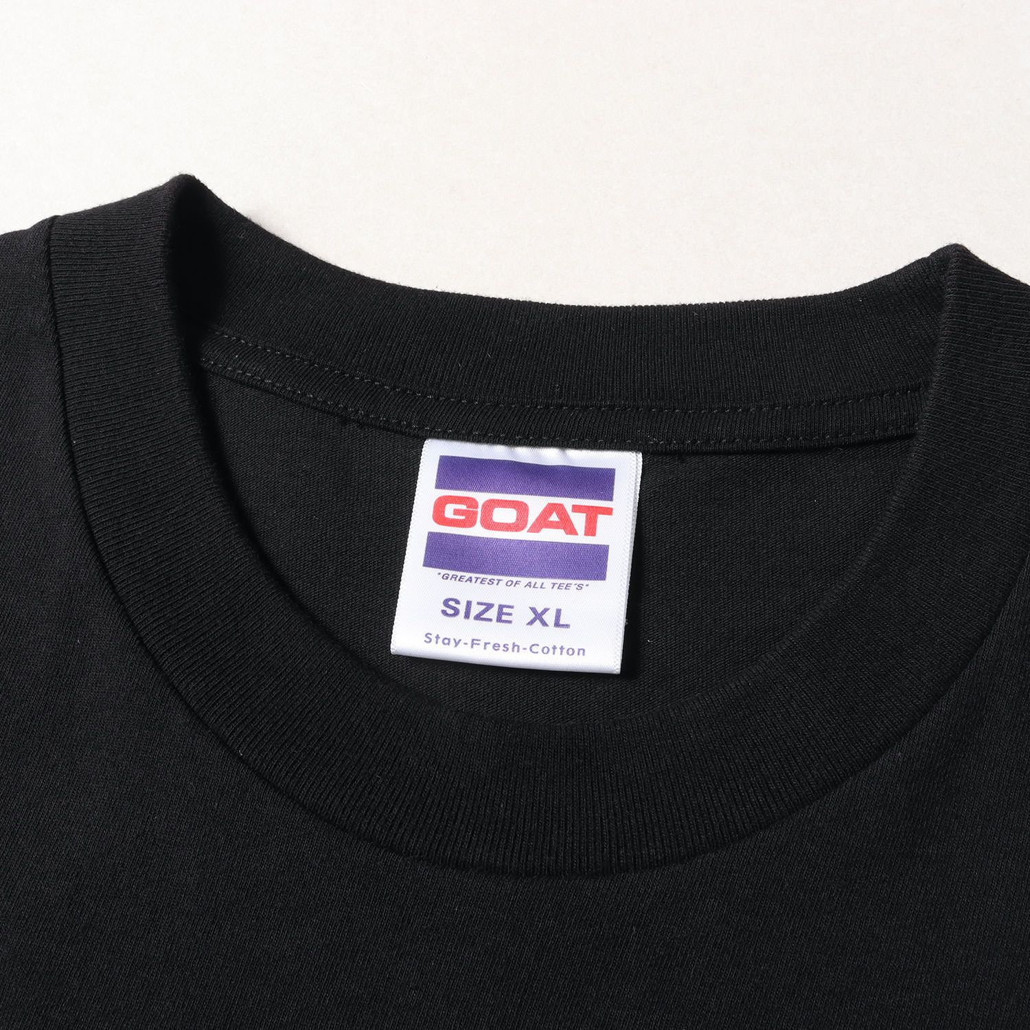 美品 RATS ラッツ Tシャツ サイズ:XL 22SS 15周年記念 DAYZ限定 FULL 