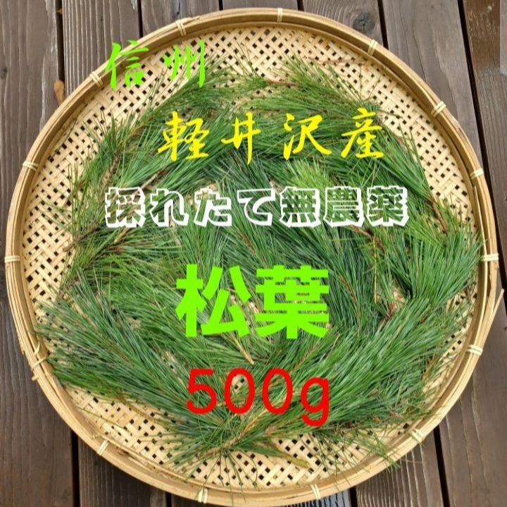 大容量500g】天然 松葉 新芽 無農薬 松茸の産地 赤松 松葉茶 - 健康食品