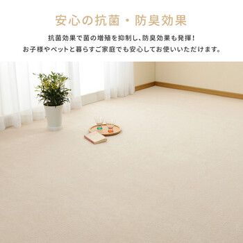 タフト