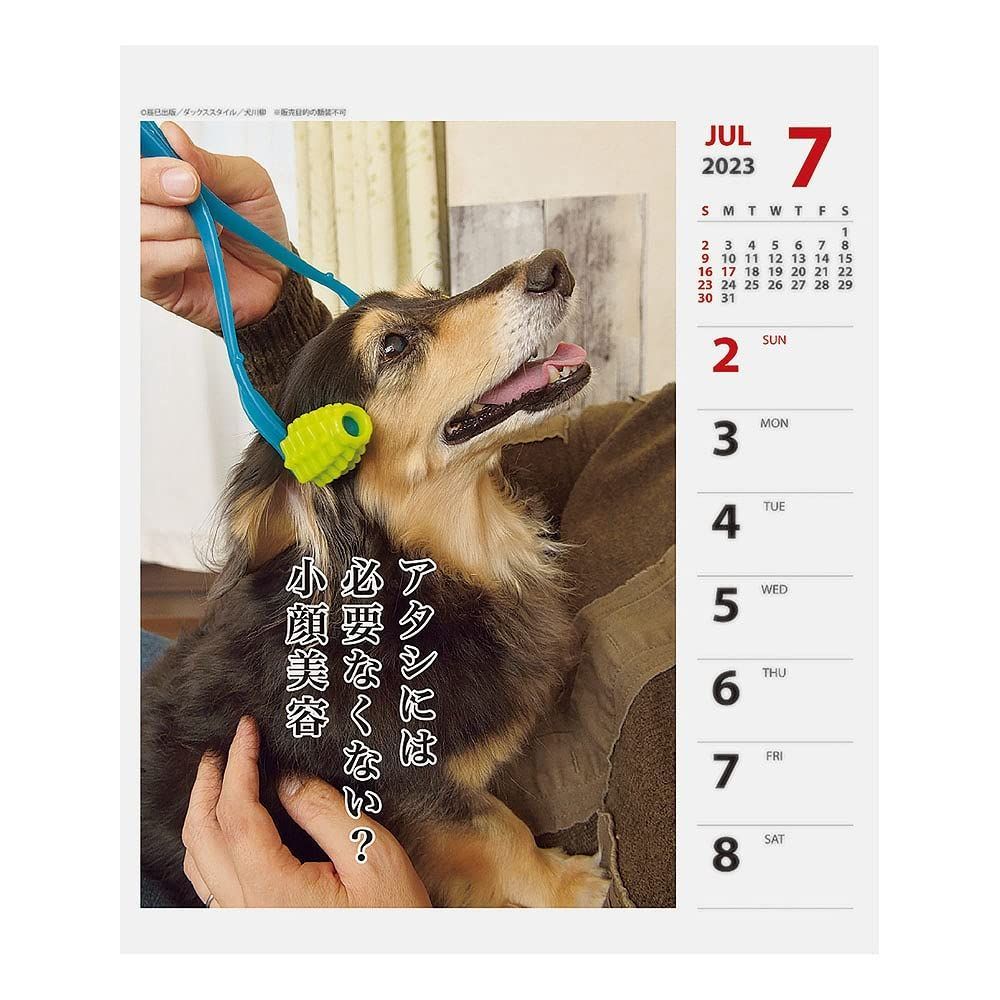 セットアップ 新品 未使用 カレンダー ダックス川柳 週めくり 2 クリスマス Restaurantedarius Com Co Restaurantedarius Com Co