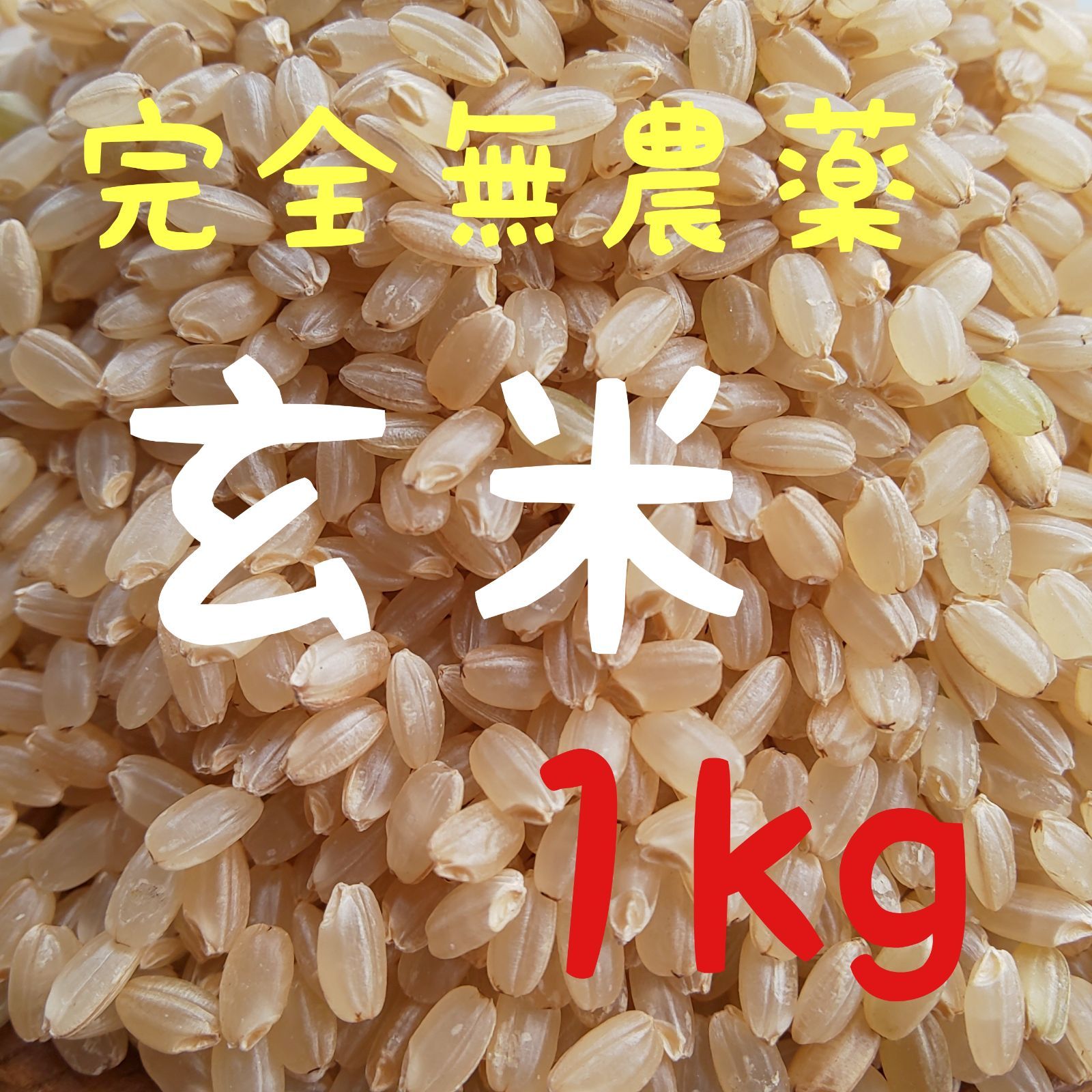 農薬不使用  有機肥料栽培  自然農法  無農薬  兵庫県産  ヒノヒカリ 玄米-0
