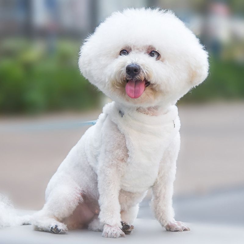 夜光る！犬・猫用  冬用 柔らかい ふわふわファーハーネス  リード付き ピンク