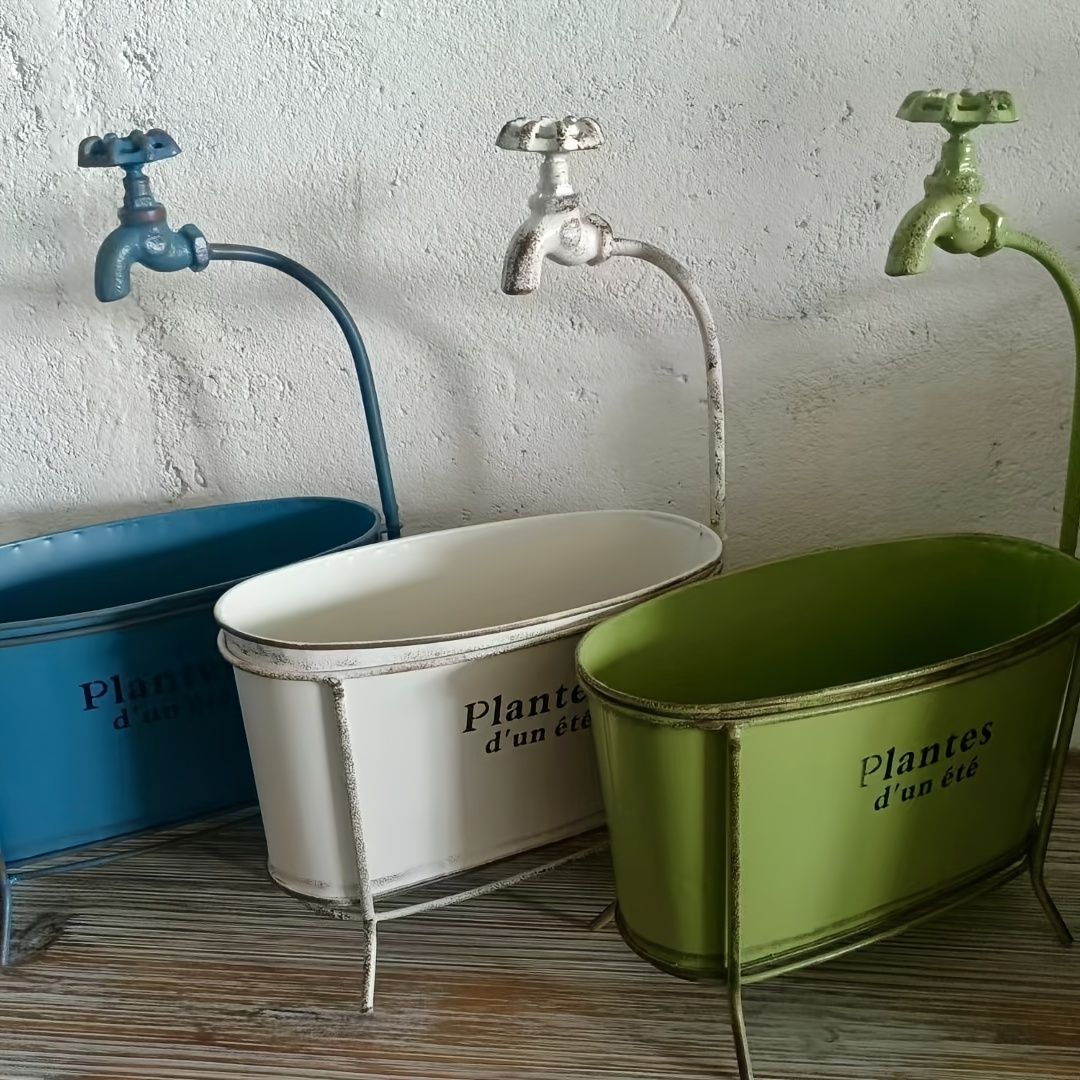 ラウリンゼ×ビンセントカトー Kico苗 写真のもの全て 多肉植物 ラウリンゼ