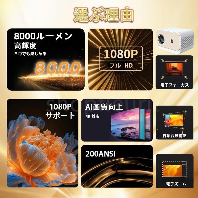 家庭用 高輝度