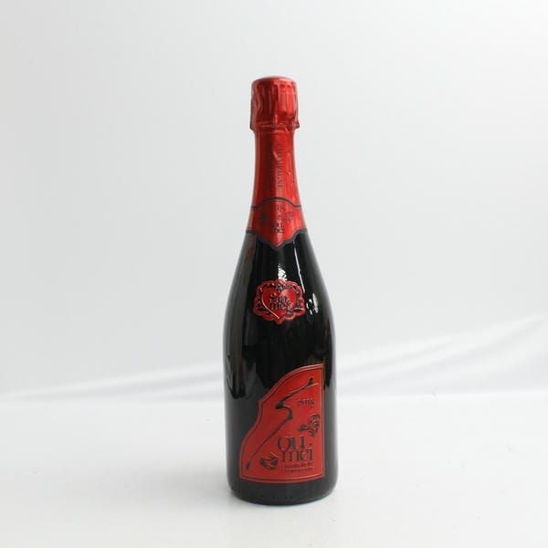 ボーペイサージュ ツガネ TSUGANE 赤ワイン 2016 750ml - メルカリ