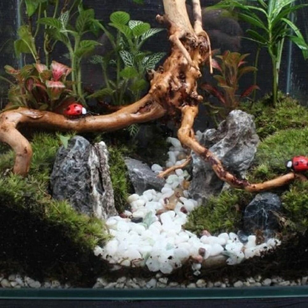 置き配配送】【1個】Sサイズ 形状お任せタイプ アクアリウム 流木 煮沸