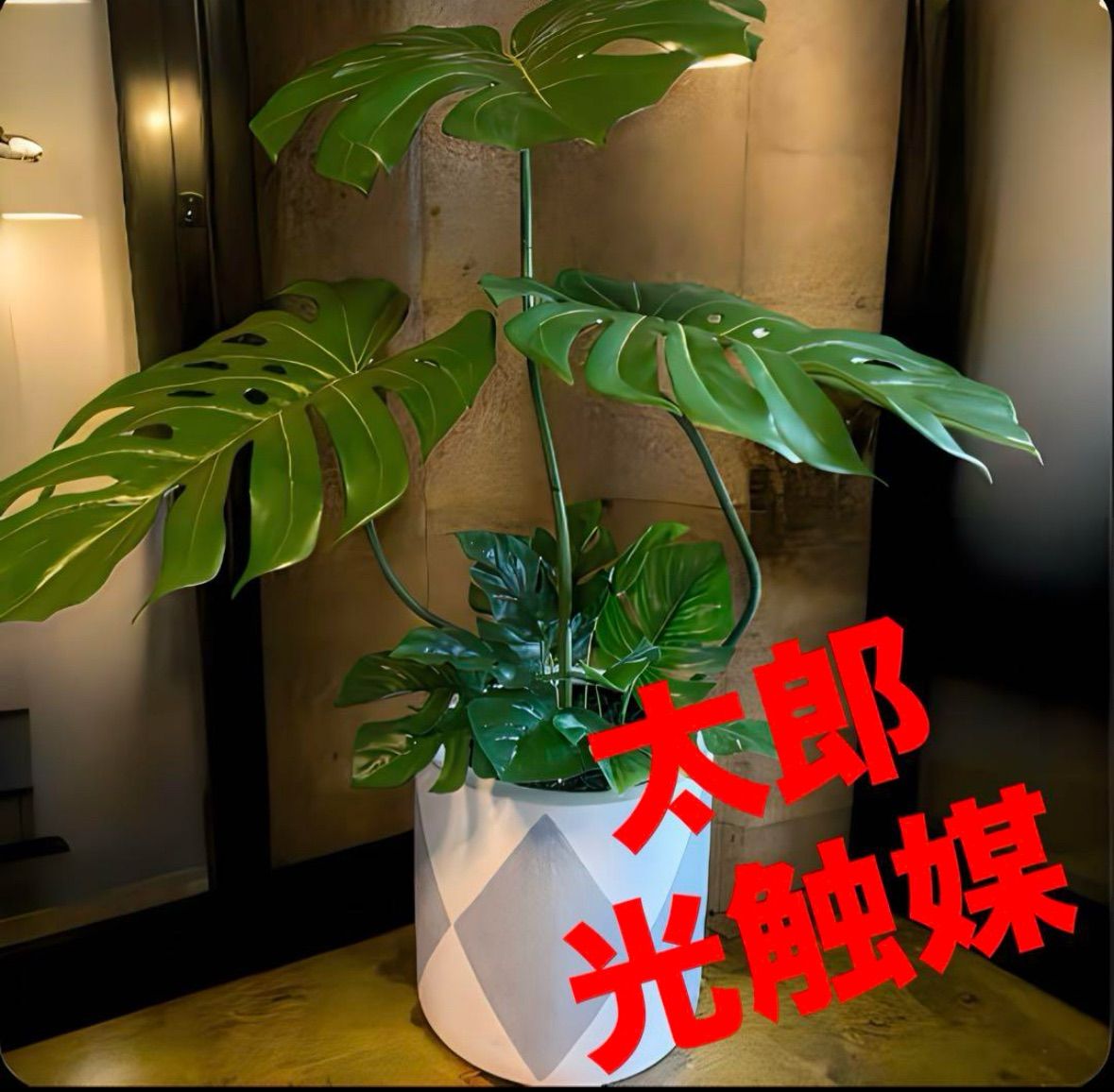 光触媒 人工観葉植物 ウォールグリーン フェイクグリーン バリ風特大モンステラ8