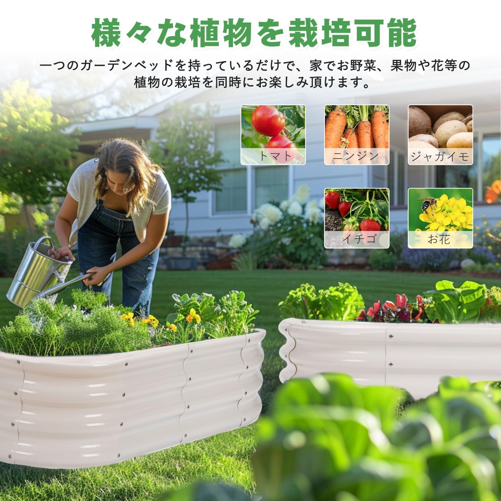 レイズドガーデンベッド 野菜