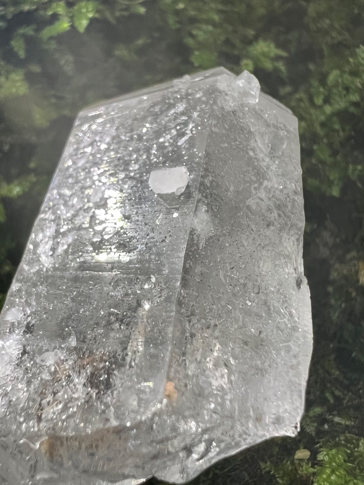 純白の守護と浄化の光