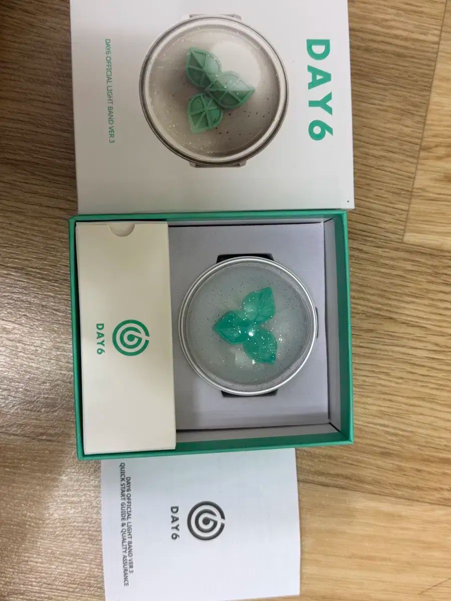 DAY6（デイシックス） OFFICIAL LIGHT BAND Day6 ペンライト ver 3