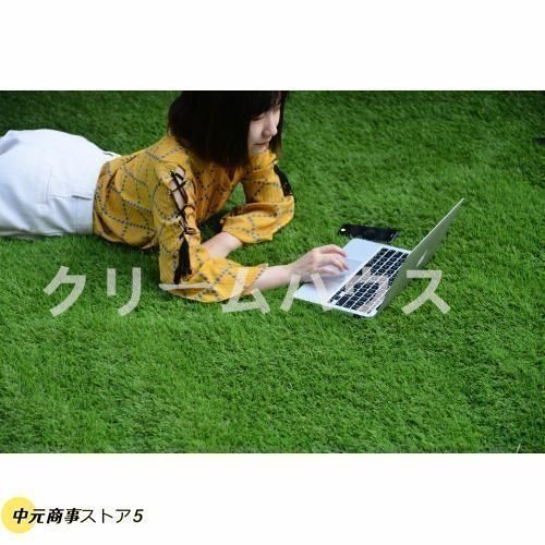 人工芝 ロール 2m×10m 芝丈35mm ピン22本 4色立体感 透水穴 秋色 楽天市場】人工芝 ロール 1m×10m 芝丈35mm ピン22本つき 4色立体