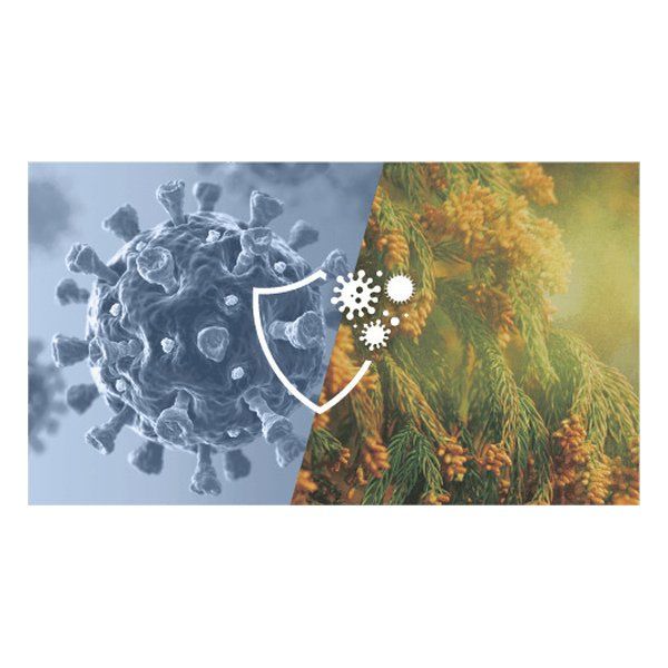 ファッションニュース DAIKIN ダイキン工業 加湿ストリーマ空気清浄機 タワー型ハイグレードモデル|適用床面積31畳|ホワイト ACK705A-W 2661562