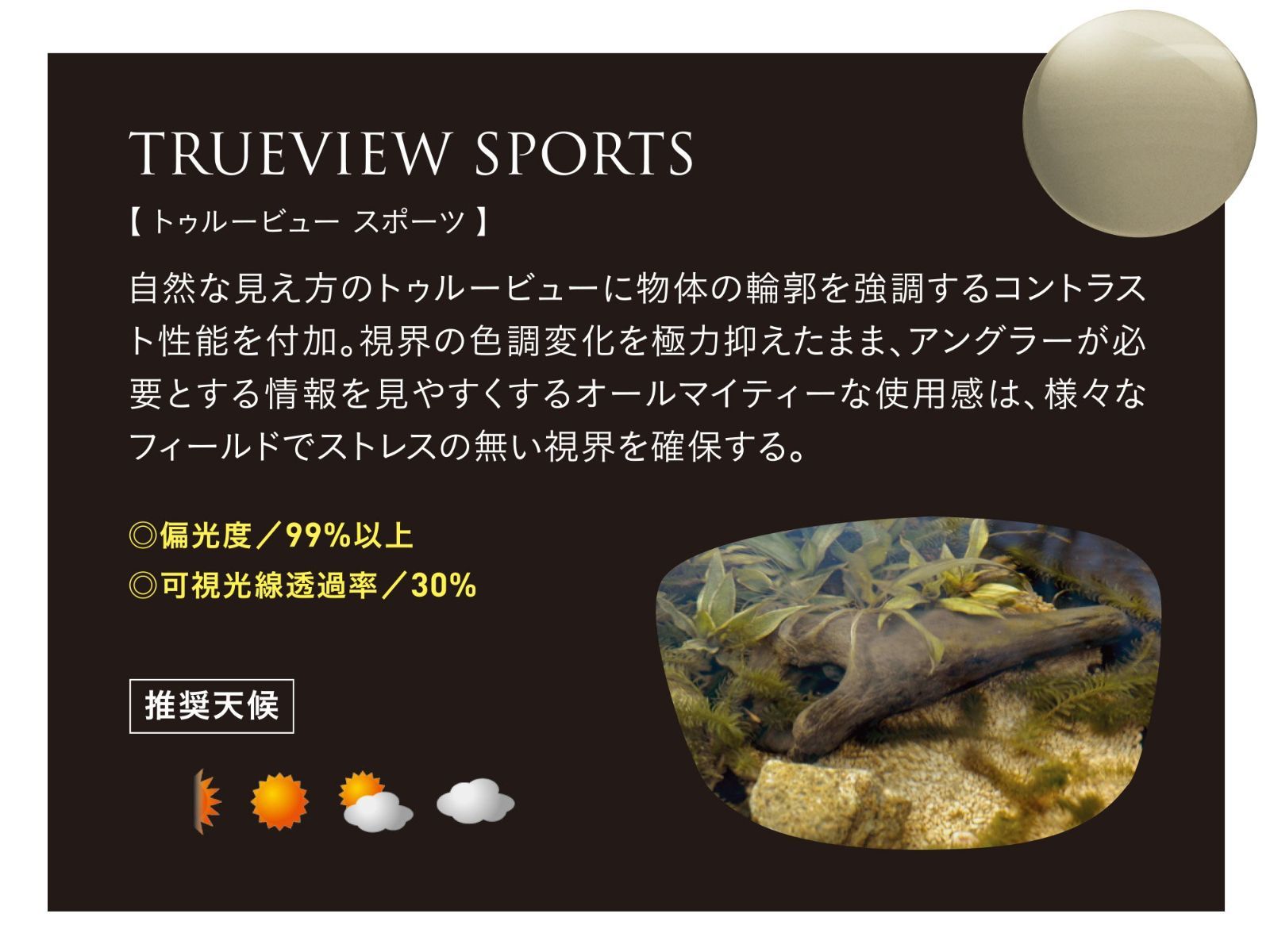 Zeque ゼクー