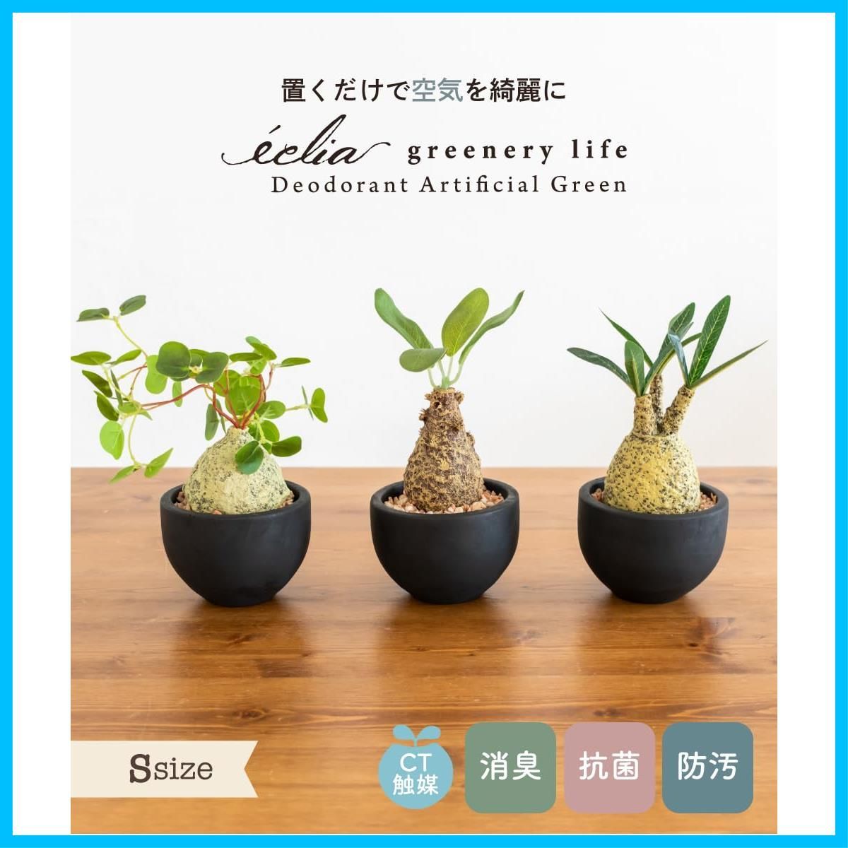 Gracilius エクリア