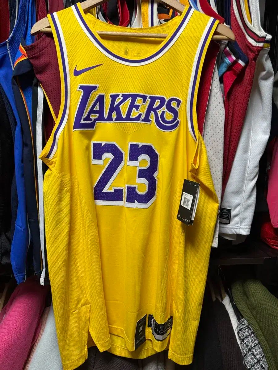 NIKE × NBA LA Lakers LeBron James アセンティック ジャージ
