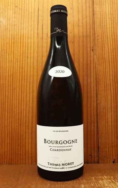 珍品 軍刀 柄 鮫皮 サーベル型 金属鞘 軍刀 流金金具 戦前 WWST002