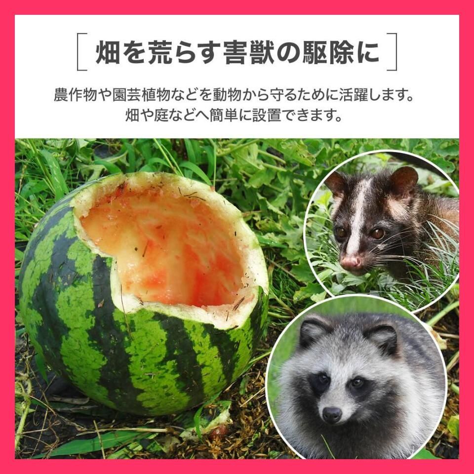 ☆売れ筋☆ 捕獲器 箱罠 イタチ 捕獲 踏み板式 猫 ネコ 畑 餌 アニマルキャッチャー アニマルトラップ 動物 駆除 ペット 捕獲網 小動物 退治  捕獲機 - メルカリ