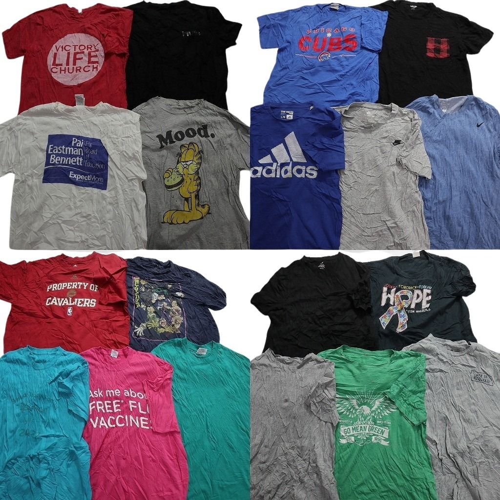古着卸 まとめ売り カラーmix プリント 半袖Tシャツ 19枚セット (メンズ L ) ナイキ アディダス ガーフィールド ヒロアカ アニメ  MU5324