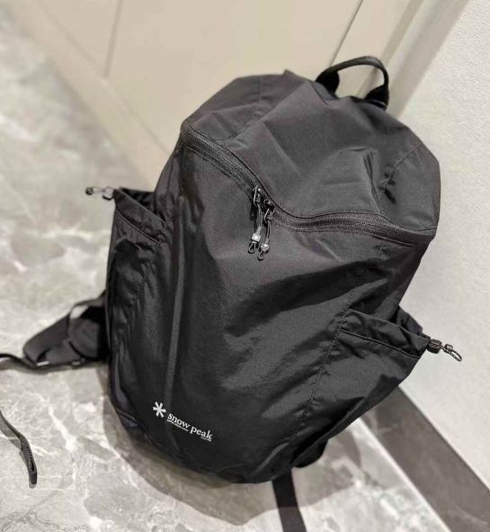 韓国 SNOWPEAK□Pro Light Backpack 17L - メルカリ