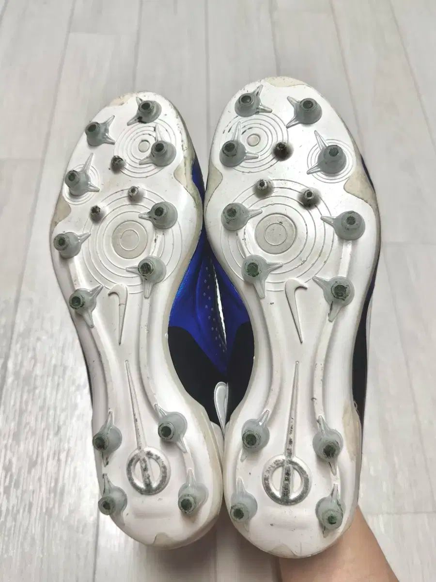 スパインソール