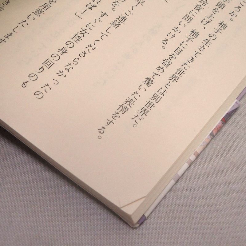 鬼の花嫁 1-5巻 新婚編1 龍神と許嫁の赤い花印 結界師の一輪華 クレハ 小説 まとめ セット - カメレオンクラブ下松店 - メルカリ