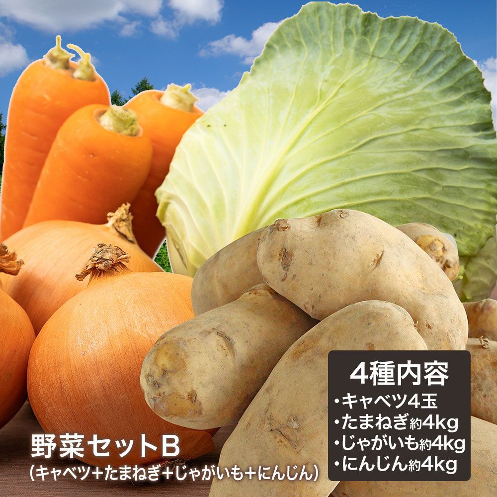 野菜みじん切り機(キャベツ、玉ねぎ、人参) 中部コーポレーション CV-220A 楽天市場】中部コーポレーション PRO CHEF（プロシェフ）バーチカル