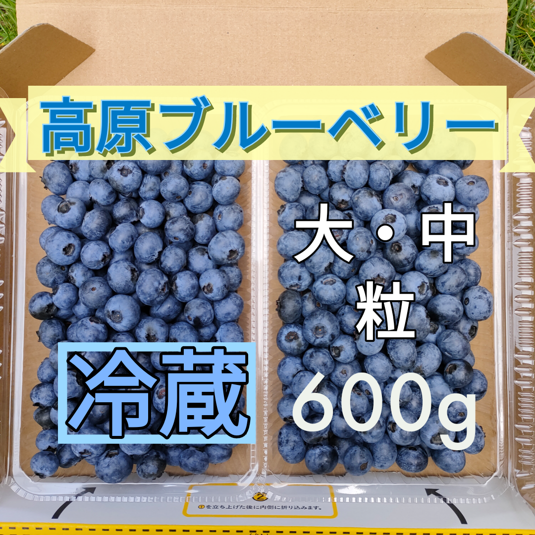 メルカリshops 朝摘みブルーベリー 600g 大 中粒 冷蔵保存 クール便発送