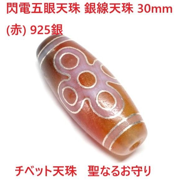 貝殻 27cm 法螺貝 ホラガイ 貝殻 21000セット 27cm