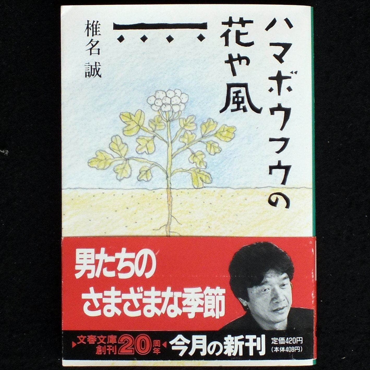新品・未読】聖められた生涯 A.B.シンプソン著 いのちのことば社