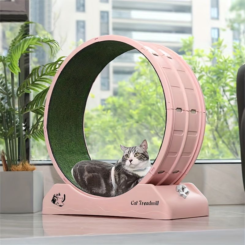 キャットローラートレッドミル 屋内 組み立て 静音 フィットネス キャットランニングホイール ペット キャット用プラスチックトレッドミル