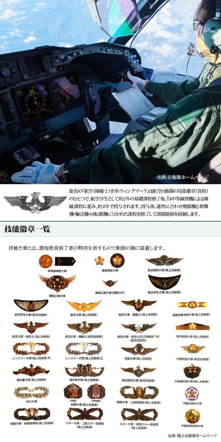 メガ激レア　航空自衛隊ピンバッチセット　方面　学校　その他　航空自衛隊ピ　旧制服 メガ激レア 航空自衛隊ピンバッチセット 方面 学校 その他 航空