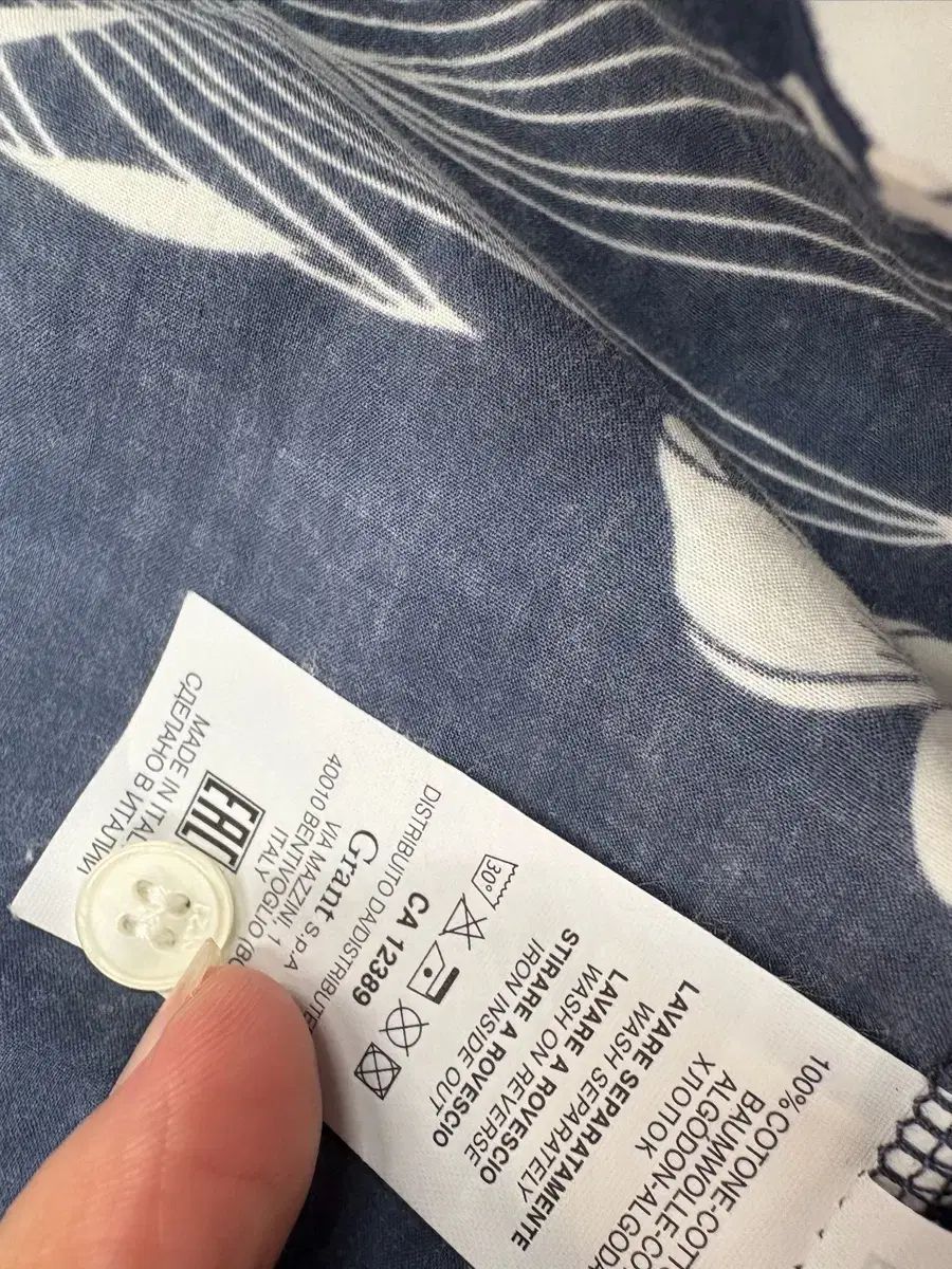 N21 ヤシの木