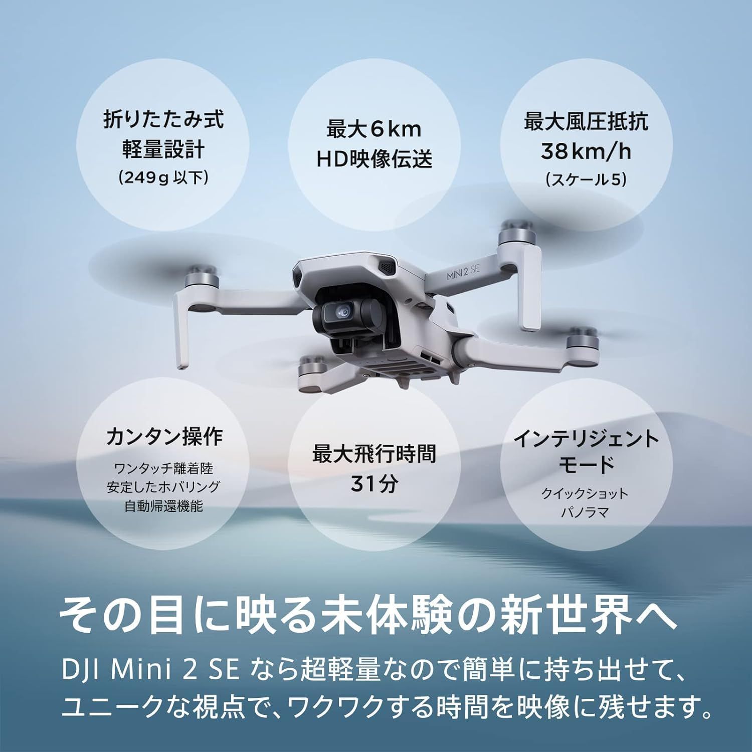 バッテリー1本
