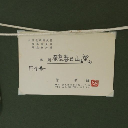 菅守雄 奈良春日山望む