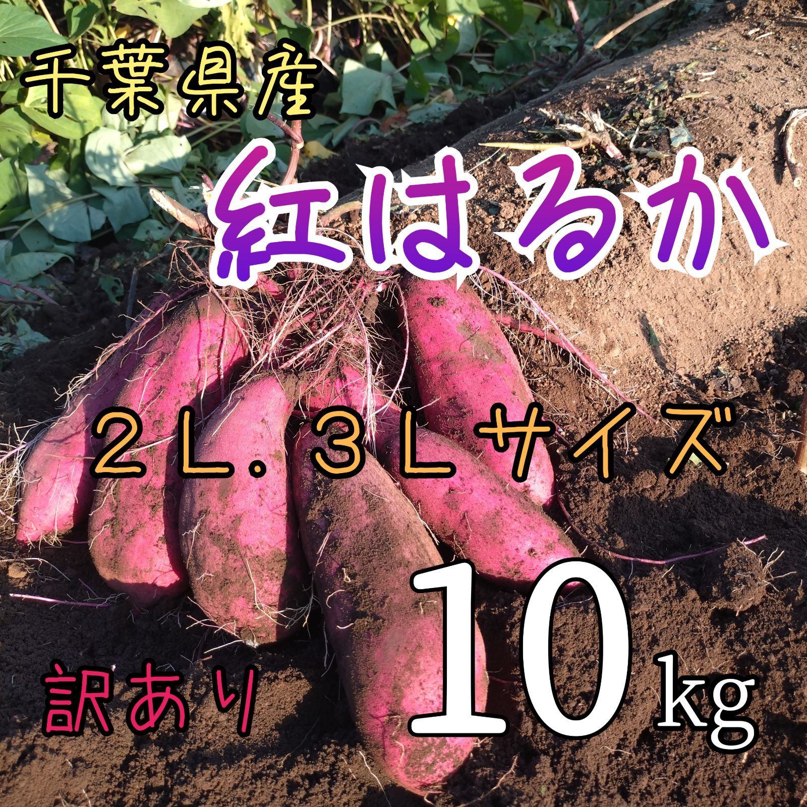 訳あり】紅はるか 10kg 特大サイズ 千葉県産 - メルカリ